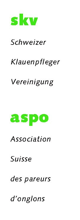 Logo skv